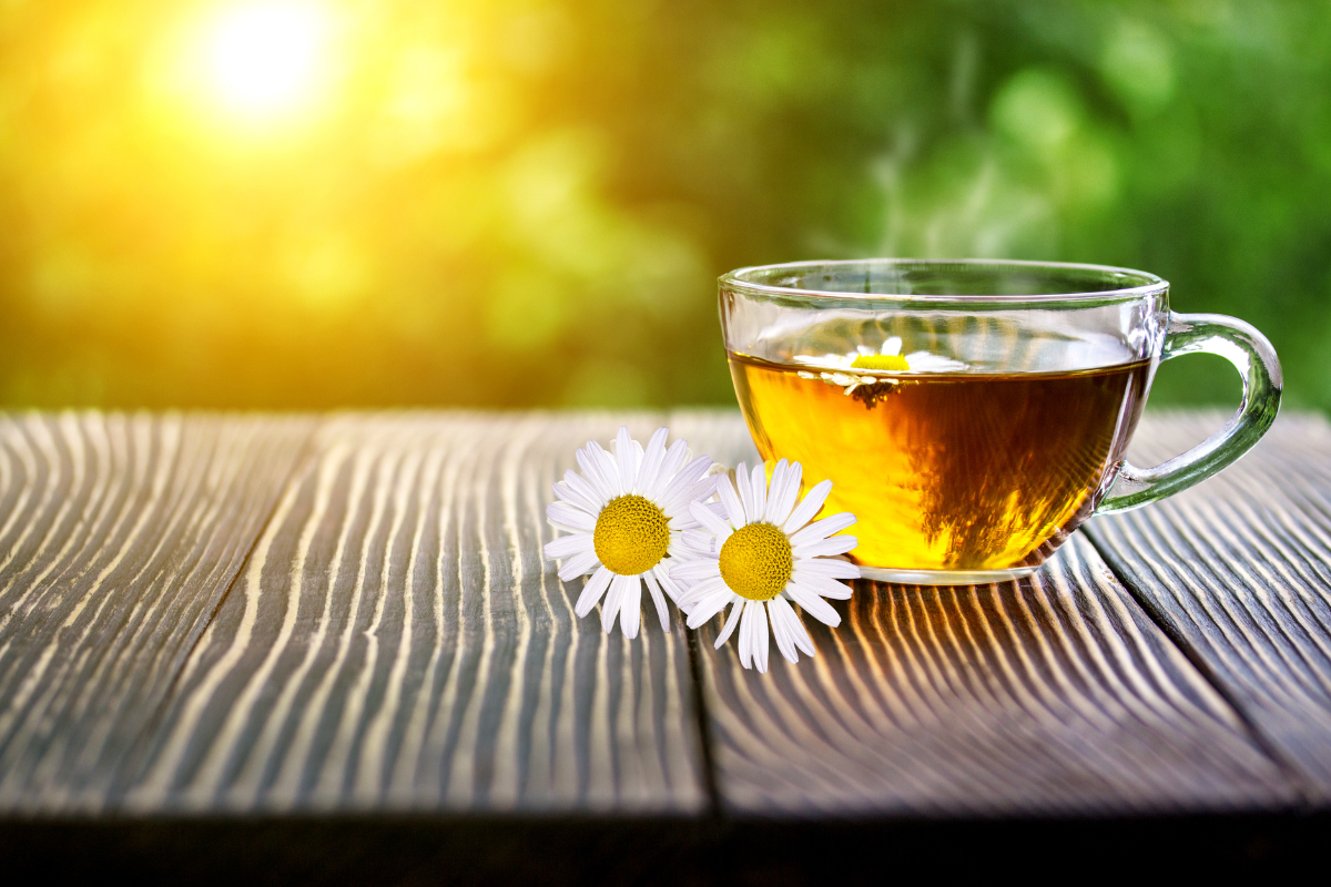 Teh Chamomile: Manfaat & Tips Menyeduhnya - ITO EN