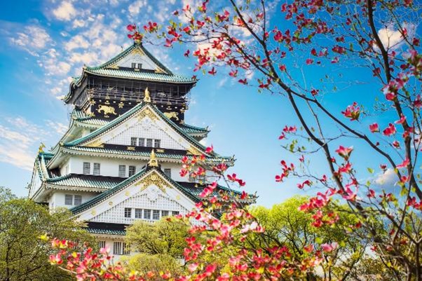 kuil jepang dan bunga sakura