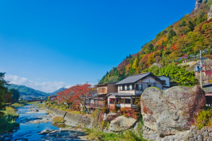 desa di jepang