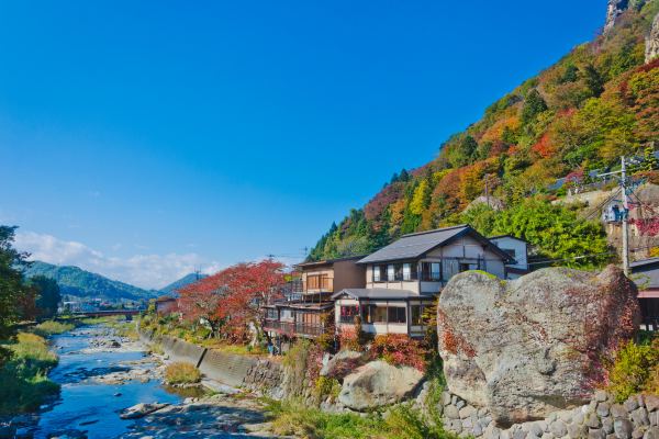 desa di jepang