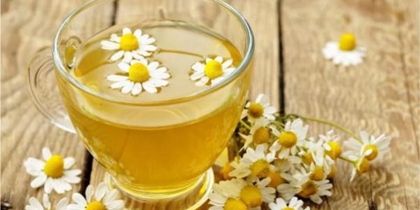 teh chamomile