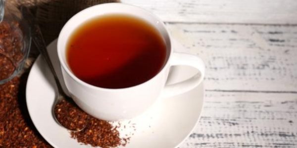 teh rooibos